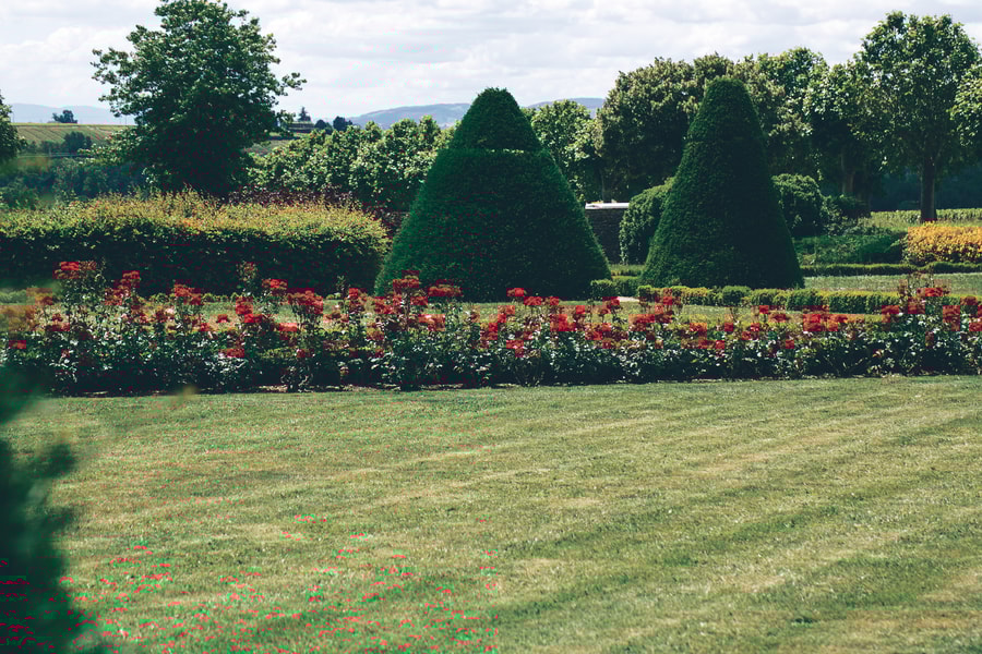 Image d'illustration 1